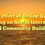 The effect of Online Game playing on Social Interaction and Community Building