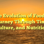 The Evolution of Food: A Journey Through Time, Culture, and Nutrition